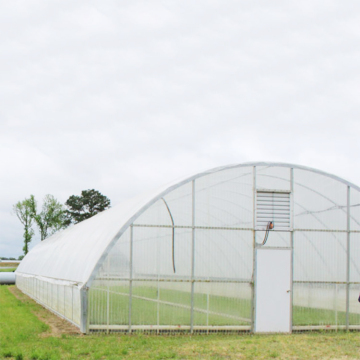 Chinese Style Outdoor Plastic Hydroponic Greenhouse Systems - MYXL Mini Single-Span Tunnel Greenhouse For Sale