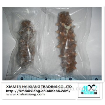 Fresh sea cucumber buyers