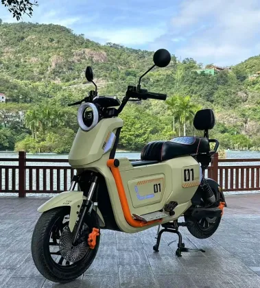 Adult Motor Scooter with customizable colors