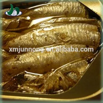 Hot selling canned sardine fish