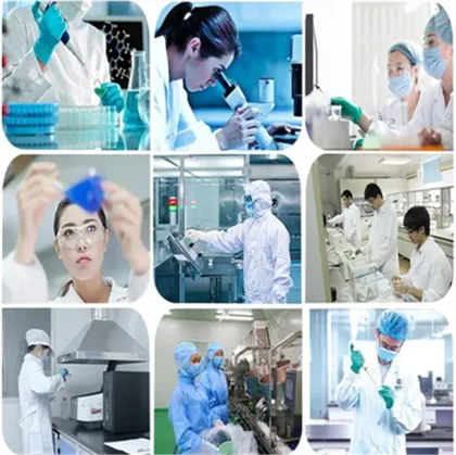 High Quality Tu si zi extract dodder extract