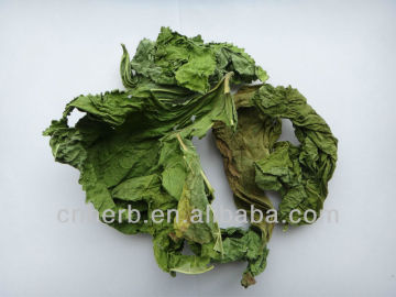 Dried Marshmallow leaf,Marsh mallow leaves,Common marshmallow,Althaea officinalis,Shu jin kui,Shujinkui