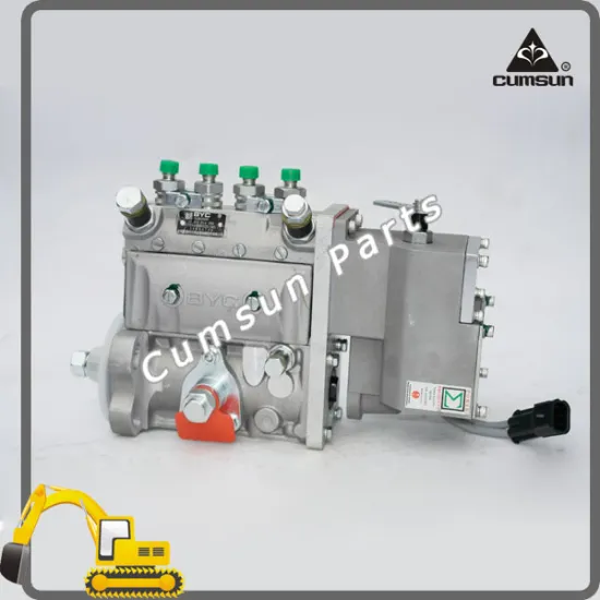 China BYC Fuel Injection Pump 5262669