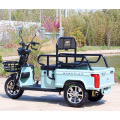 Tricycle électrique de loisirs pour personnes âgées Tricycle passager 650W