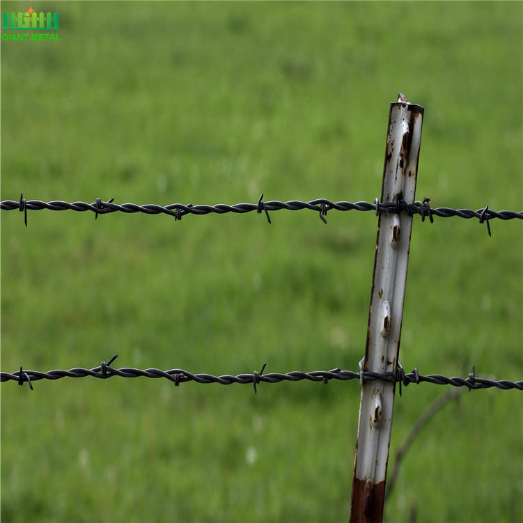 Twiste barded galvanized wire