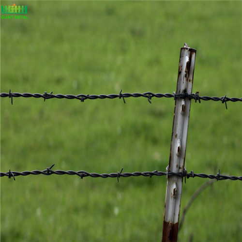 Twiste बाध्य गैल्वेनाइज्ड तार