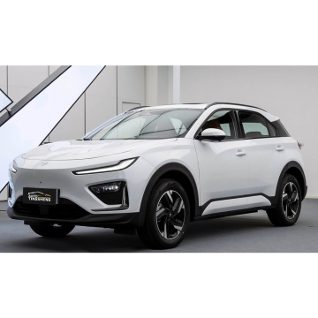 NETA X 2023-2024 500 Model 501km High Performance Electric SUV