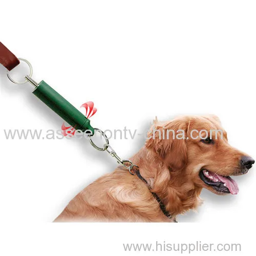 Training Aid Dog Tweeter