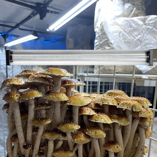 EDKFARM Garden Greenhouse Mushroom Full Spectrum LED Grow Light