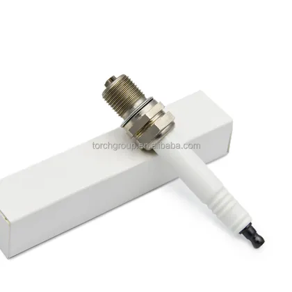 Hot Selling Torch Industrial R1B12-76 Spark Plug - Champion RB76N RB76PP