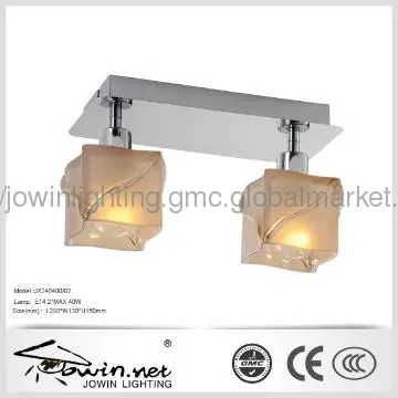 Ceiling Lights Traditional