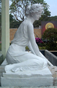 The Drawn Water Young Girl