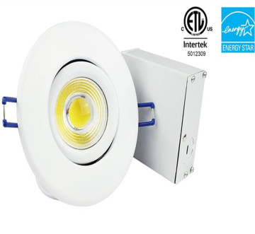 ETL 4 inch Round LED Gimbal Lamp
