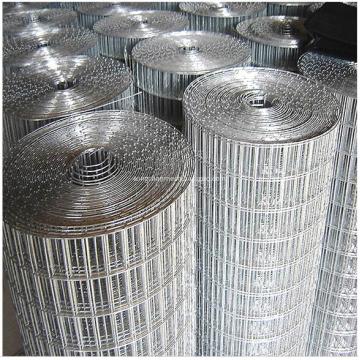 SUS Welded Wire Mesh