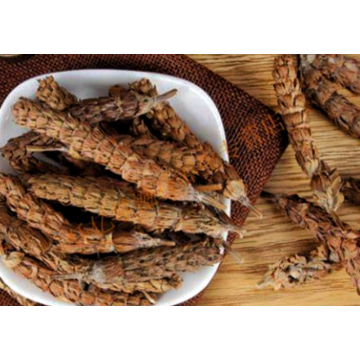 Herbal Extract Powder