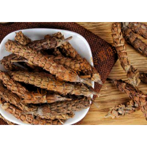 Herbal Extract Powder