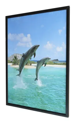 carbon crystal room heating painter