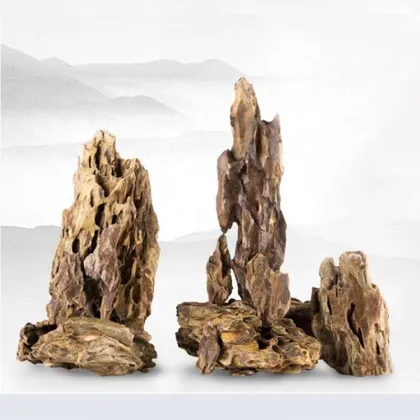 Natural Greenosis Seiryu Rock Stone Dragon for Aquarium Decoration
