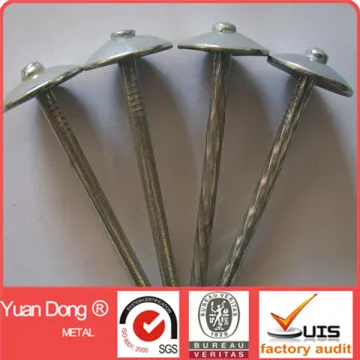 Alibaba China Umbrella head roofing nail