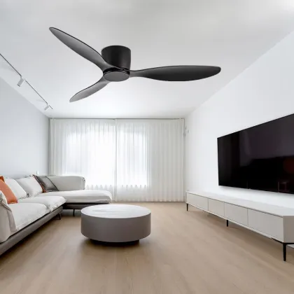 Factory Direct Inverter Fan with 6 Speeds Adjustable LED Lighting and Detachable Main Light