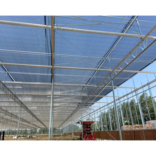 Scientific Research Agricultural Planting Greenhouse