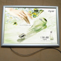 Dinding LED aluminium Frame Light Box