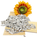 Wholesale Sea Salted Roasted Sunflower Seeds