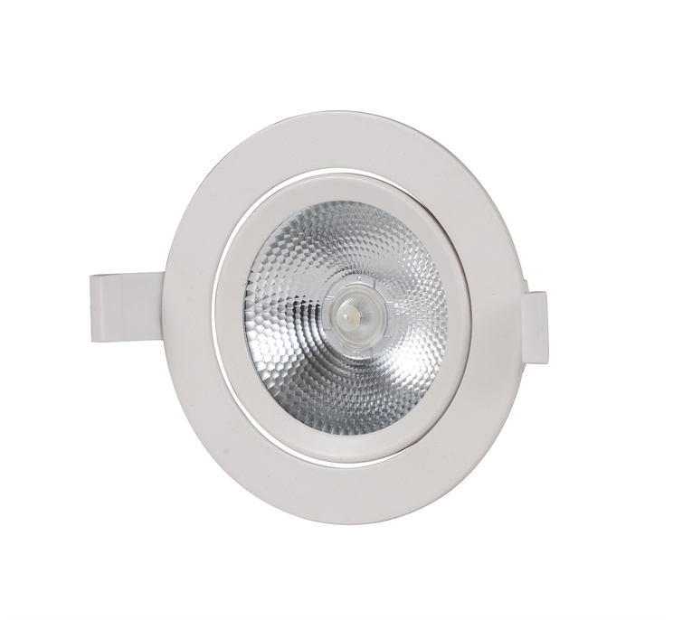 led COB down light (6).jpg