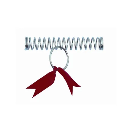 Magic Spring for Children Best Magic Tricks