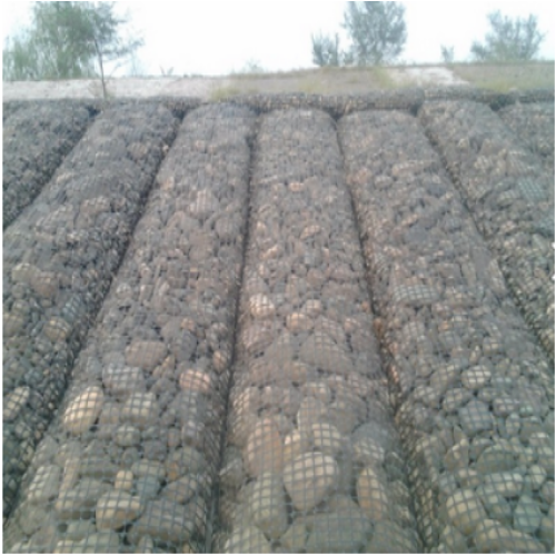 polypropylene PP Bioxial Geogrid 25-25kn คุณภาพดีที่สุด