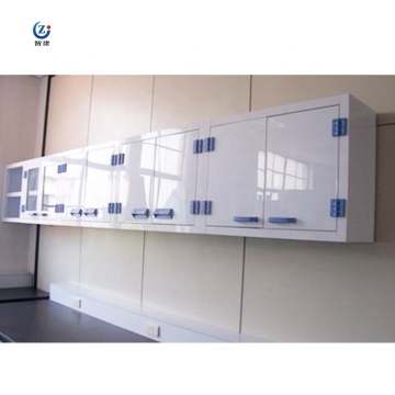 PP Chemistry Lab Wall Cabinet for Laboratory Storage
