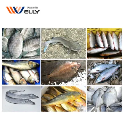 Commercial Fish Cutting Machine: Tuna, Pomfret, Crucian Carp, Tilapia, and Hairtail Section Cutter