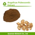 Angelicae Pubescentis Extract DoubleTh Angelica-Wurzel