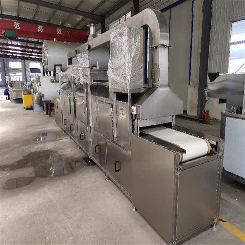 Experimental Continuous Steamer