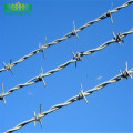 Double Twist High-tensile Wire Barbed Wire Mesh Fence