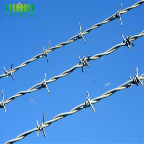 Double Twist High-tensile Wire Barbed Wire Mesh Mesh