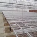 Flower Nursery Seedbed in serra