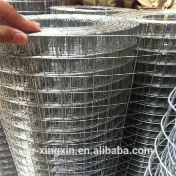 Xingxin welded chicken cage wire mesh, Galvanized iron welded wire mesh rolls, lowes chicken wire mesh roll (PA - 007)