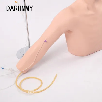 DARHMMY Medical Training Model for Venous Puncture