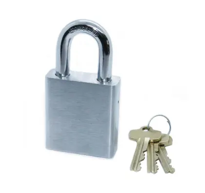 SFIC Master Cylinder Inerchangeable Brass Padlock