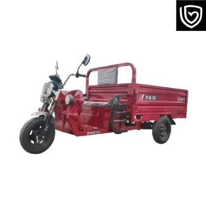 Enhanced Tricycle: Bigger Size, Better Performance