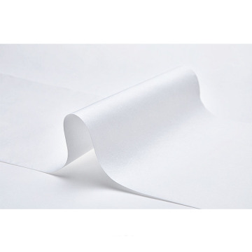 Adhesive Interlining Non-woven Fabric