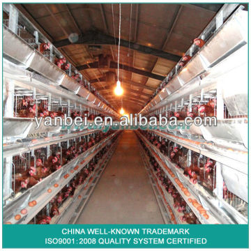 9LCDy-3198 MODEL H-Type Multi-Tier Pullet Cage