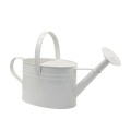 Best Watering Can For Outdoor Plants