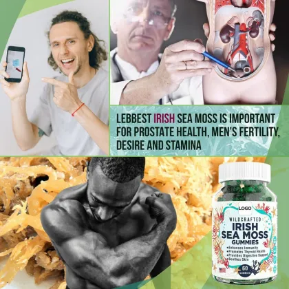 Bladderwrack burdock Root Irish Sea Moss Gummies