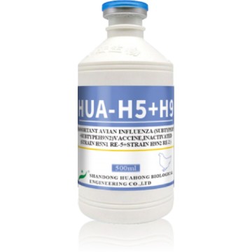 Vaccin inactivat împotriva gripei aviare H5N1+H9N2