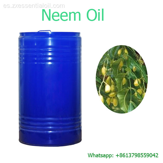 Carrier Oil Factory mejor precio aceite de neem