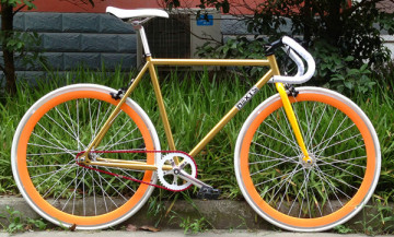 700c Fixed Gear Bicycle