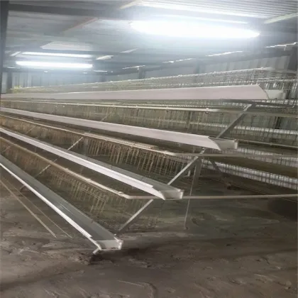 Alibaba Gold Supplier chicken cage/chicken farm/chicken cage for sale for all world