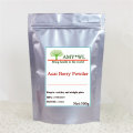 High Quility Organic Acai Berry Powder Acai Berry 10:1 Extract Powder Anti Radicalization and Anti-aging Skin Care